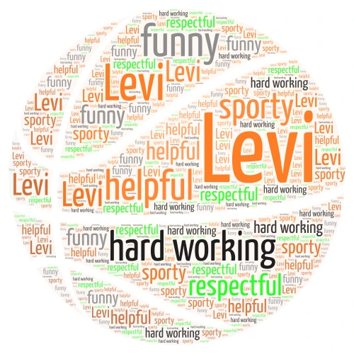 Levi word cloud art