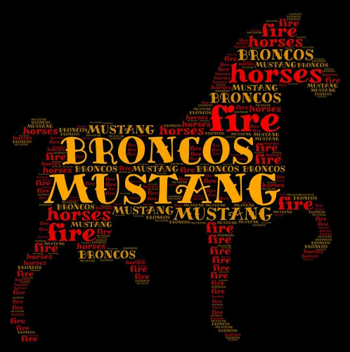 MUSTANG BRONCOS word cloud art