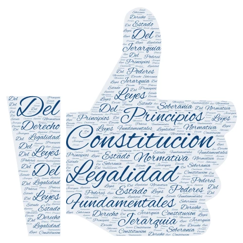 Derecho Constitucional word cloud art