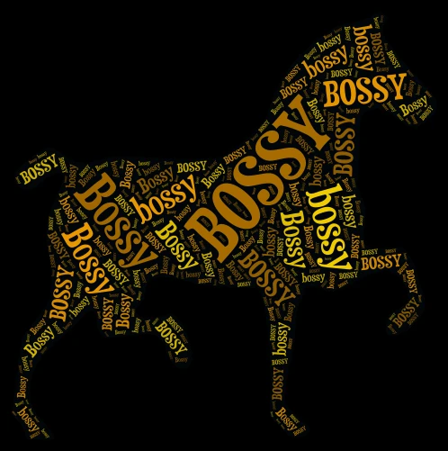 King Horse word cloud art