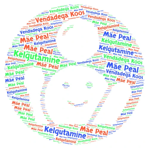 talverõõmud word cloud art