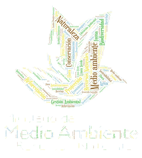 PALABRAS CLAVE DEL MMARN word cloud art
