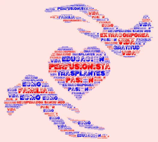 PERFUSIONISTA word cloud art