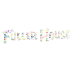 Fuller House!!!!!!! (pls make new ones)(Like if you want new ones)(And Comment) word cloud art