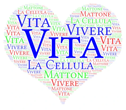 La Vita  word cloud art