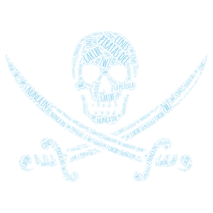 Copy of piratas word cloud art