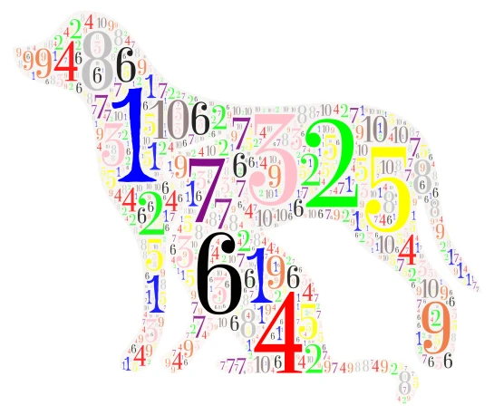 Number word cloud art