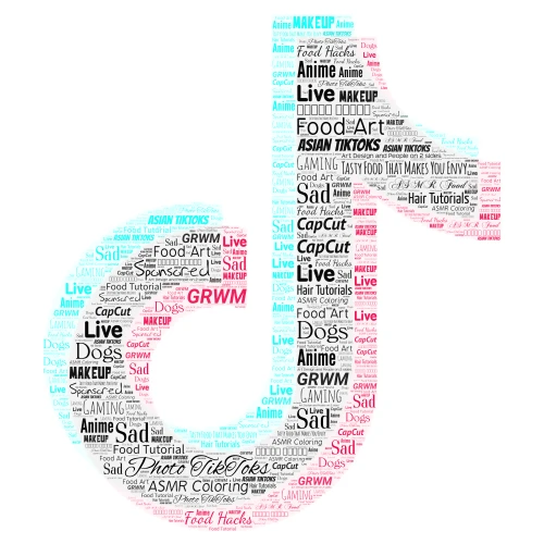 TikTok word cloud art