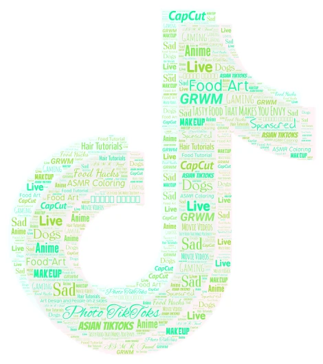 TikTok word cloud art