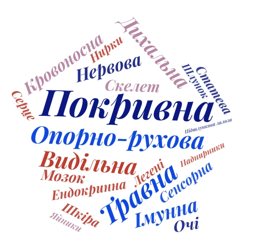 органи і системи органів word cloud art