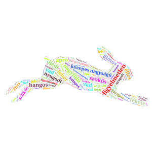 A sínen ül egy fehér nyúl word cloud art