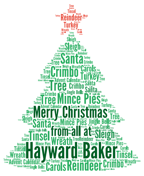 Copy of Merry Christmas from all at Hayward Baker word cloud art