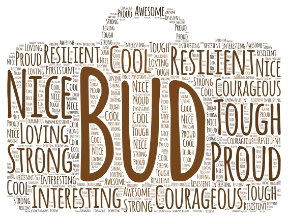 Bud, Not Buddy word cloud art