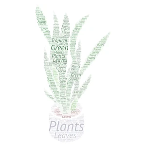 Plant word cloud art