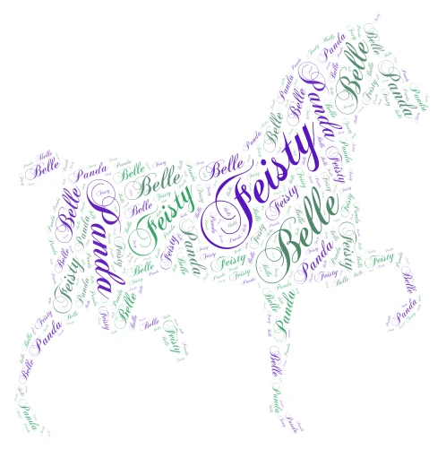 Horses word cloud art