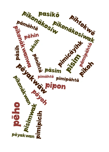 words that start with p word cloud art