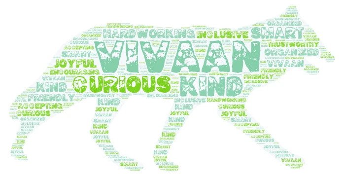 Vivaan word cloud art
