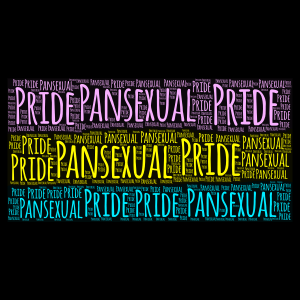 Pansexual Pride word cloud art