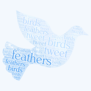 Feather birds word cloud art