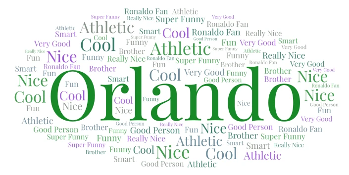 Orlando word cloud art