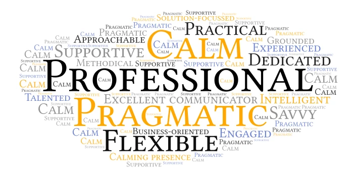 SSHR Recommendations word cloud art