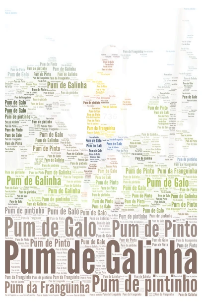 Pum de Galinheiro word cloud art