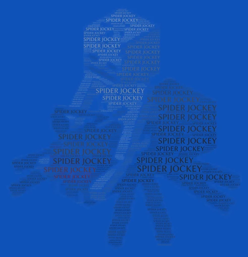 SPIDER JOCKEY word cloud art