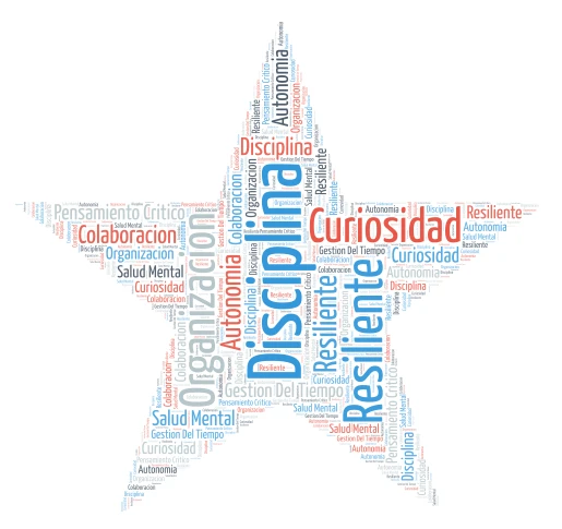 Skills and Values word cloud art