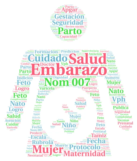 Embarazo y NOM-007 word cloud art