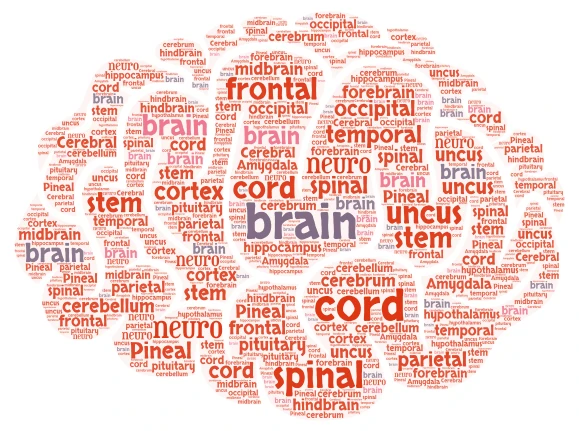 brain art word cloud art