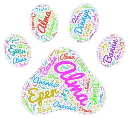 Korinaaa word cloud art