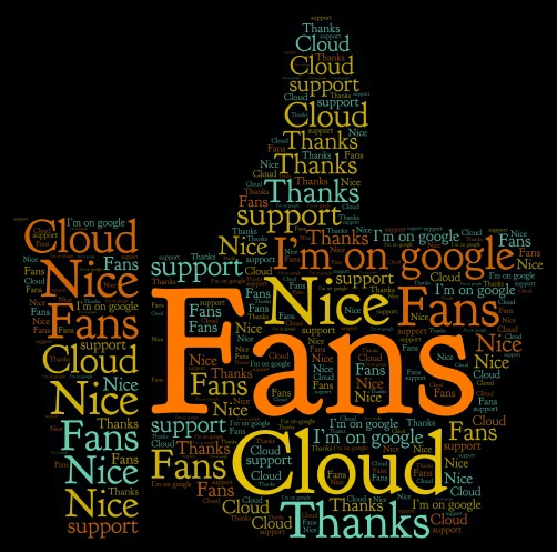 Thank you fans word cloud art