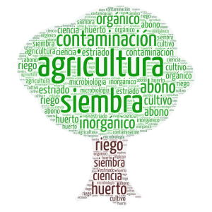 palabras claves word cloud art