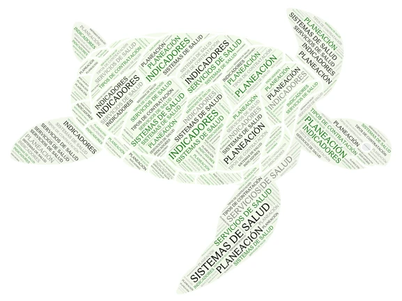 TORTUGA word cloud art