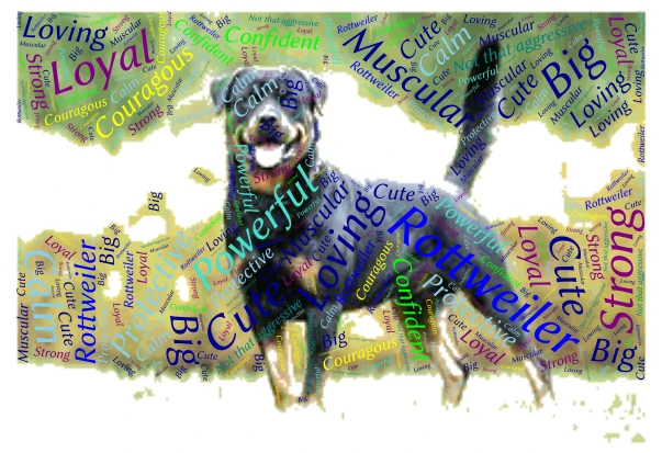 Rottweiler word cloud art