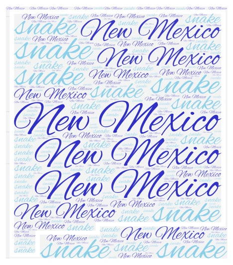 Eli New mexico word cloud art