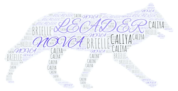 LEADERS word cloud art