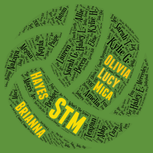 stm volleyball 2017 word cloud art