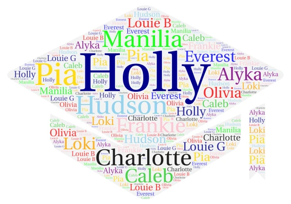 Class Of 2024 word cloud art