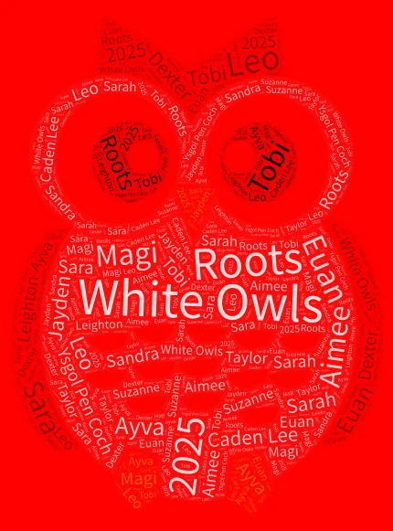 White Owls word cloud art