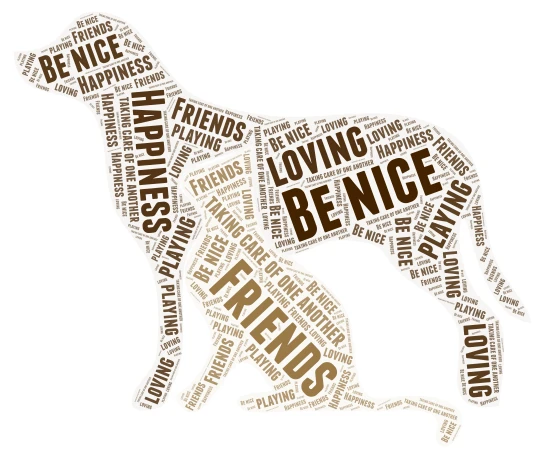 Friends word cloud art