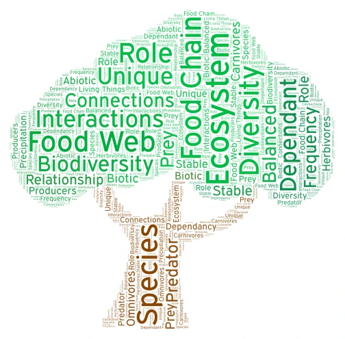  Ecosystem Words word cloud art