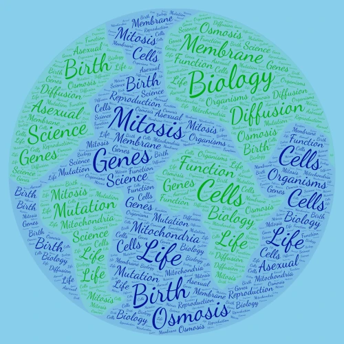 Bio30 Intro Assignment  word cloud art