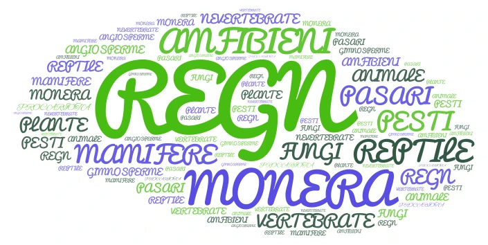CLASIFICAREA ORGANISMELOR word cloud art