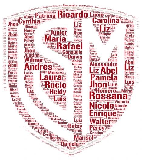 escudo ok 1 word cloud art