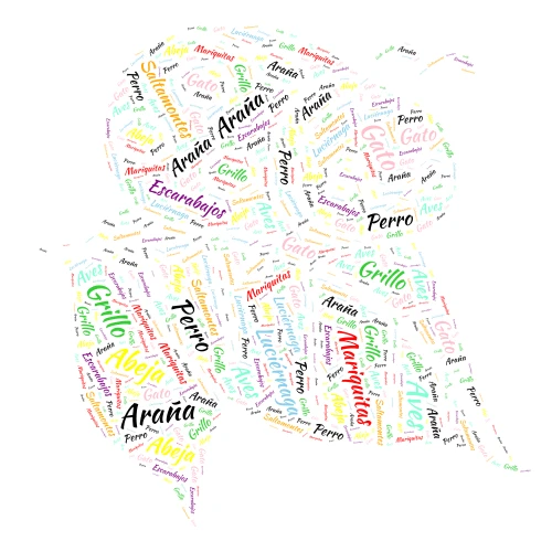 Word Art 5 word cloud art