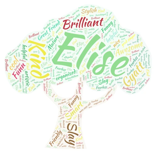 Elise's name art word cloud art