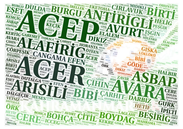 LÜGATÇE word cloud art
