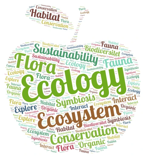 Biodiversity word cloud art
