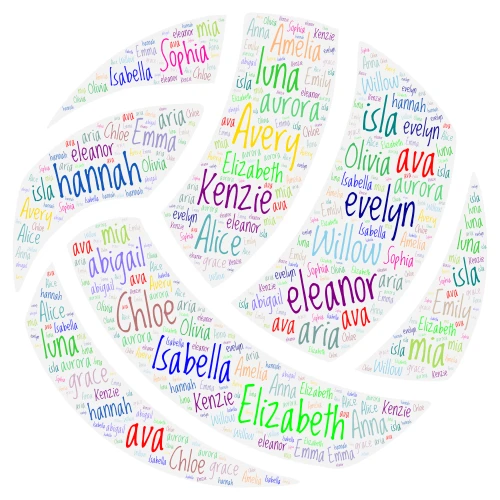 volleyball team word cloud art